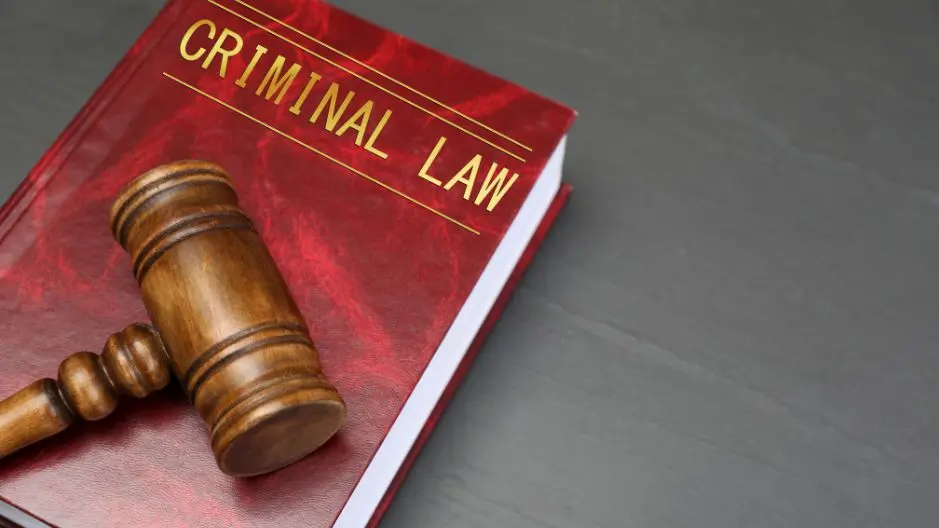 A gavel sits on a criminal law book