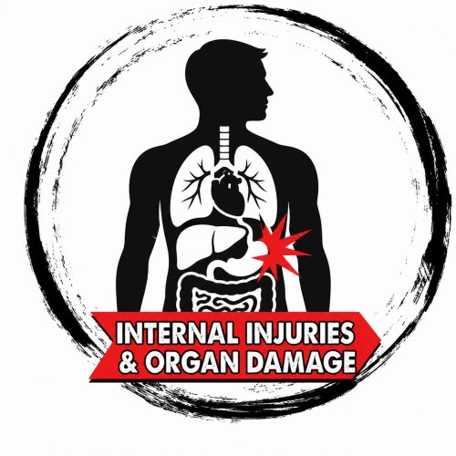 Internal Injuries and Organ Damage Icon